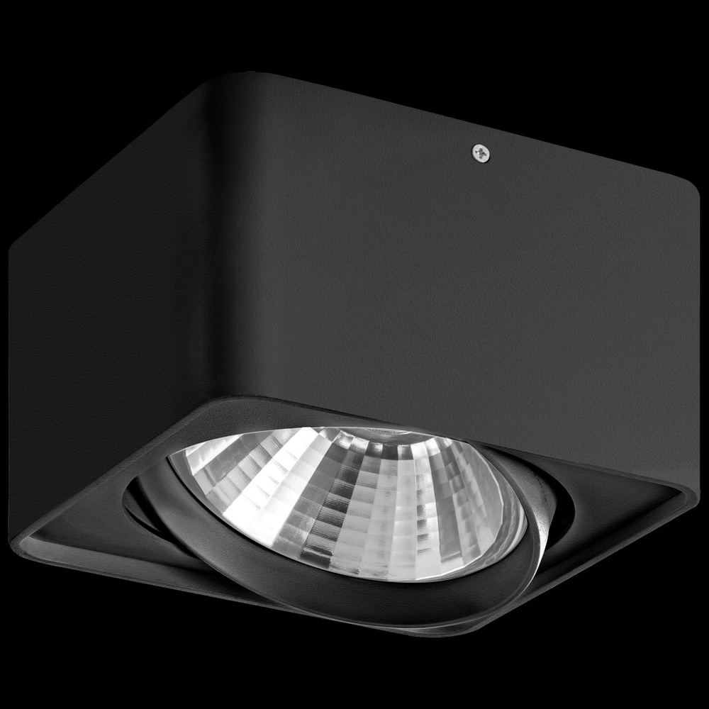 Накладной светильник Lightstar Monocco 212617