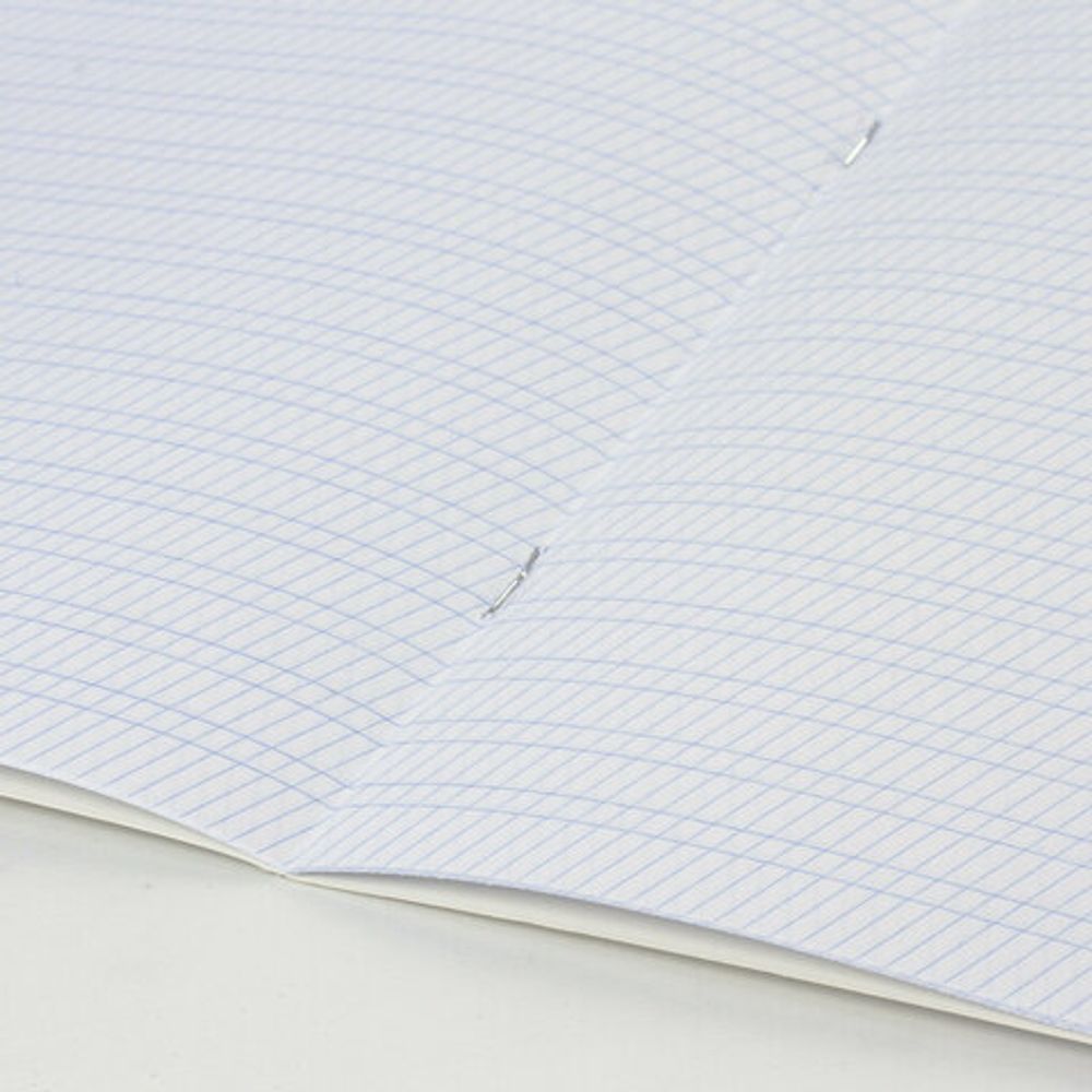 Тетрадь ЗЕЛЁНАЯ обложка 12 л., частая косая линия с полями, офсет, "ПЗБМ", 018244, 50шт