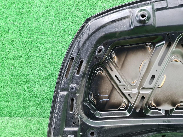 Капот GAC GN8 (2019-2023)