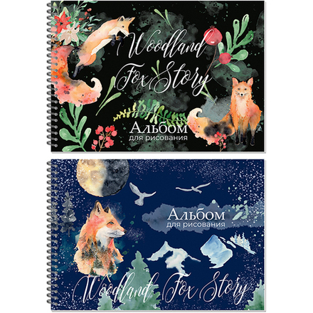 Альбом для рисования А4 40 листов "Лисы-дикарки"