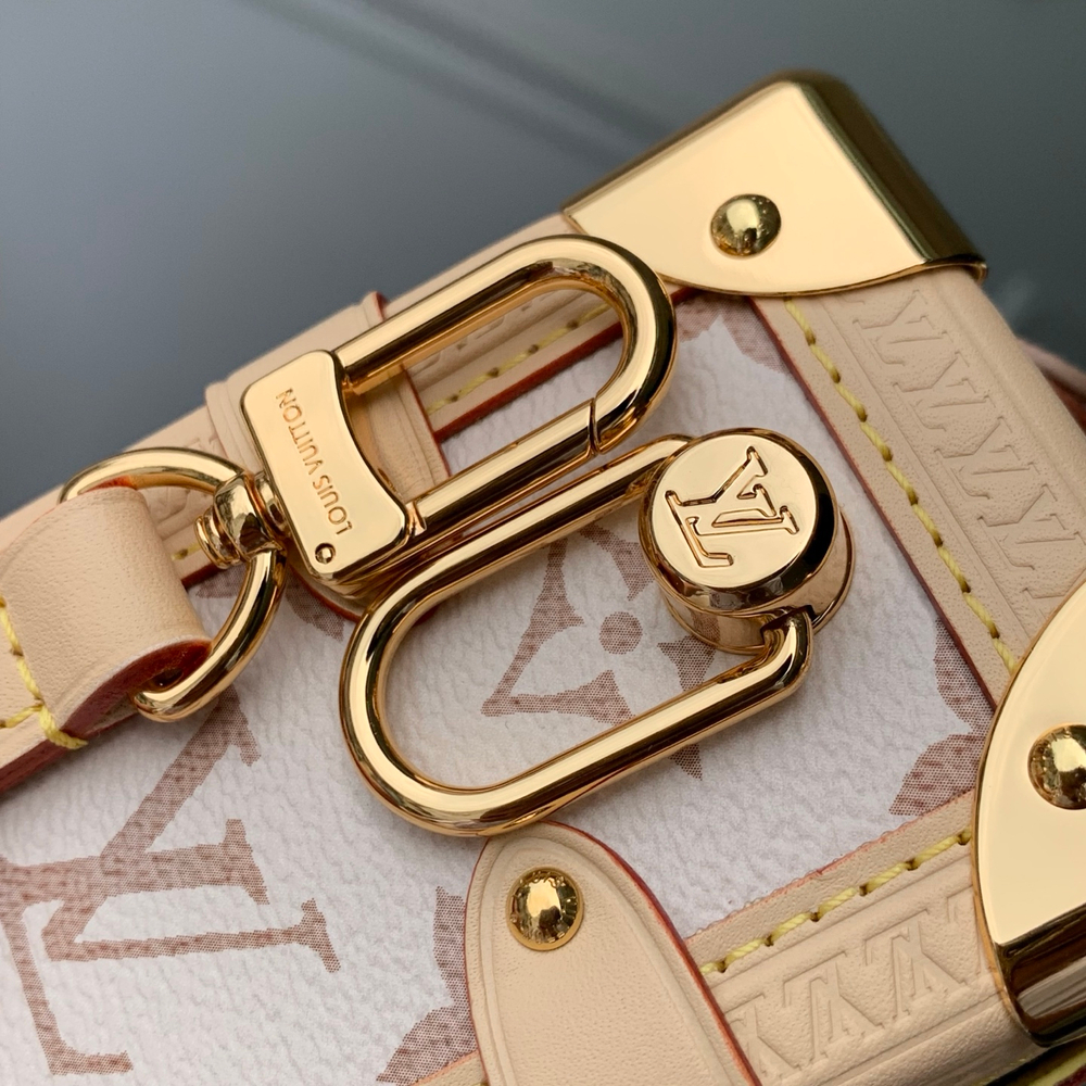 Louis Vuitton Side Trunk MM East West