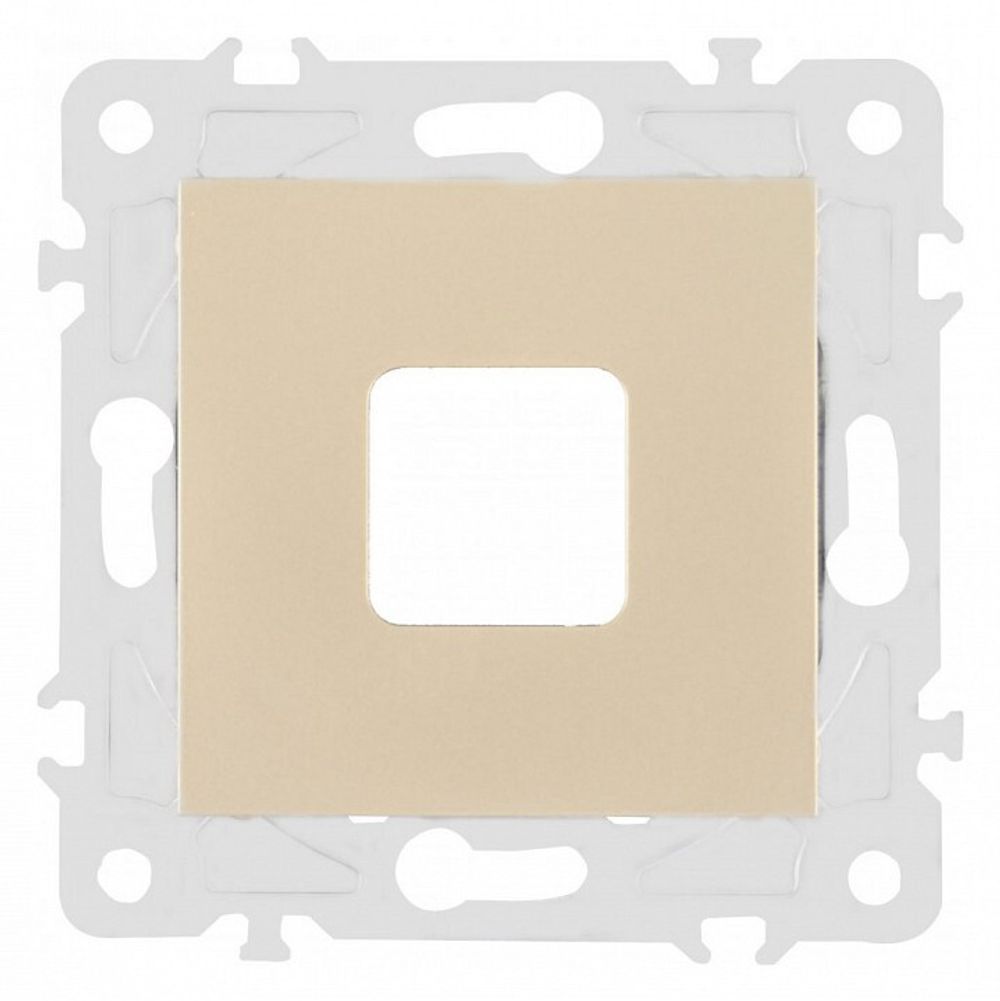 Розетка для вывод кабеля без рамки Arte Milano am-203 203.49-1.shampan