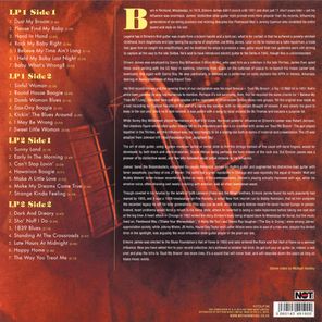 Elmore James / The Definitive (2LP)