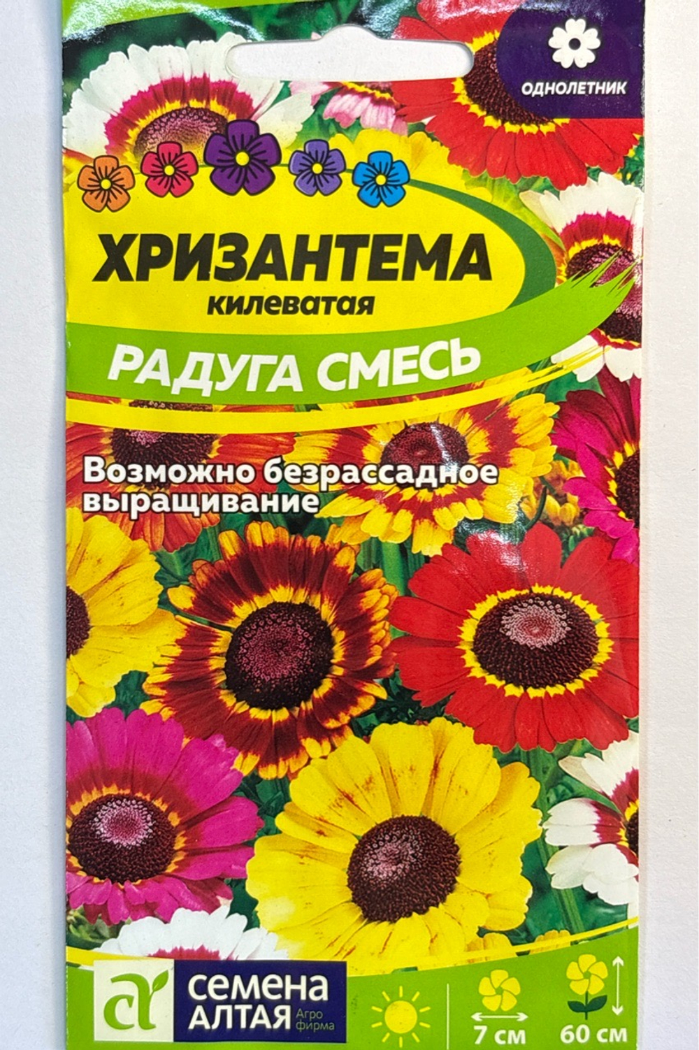 Хризантема Радуга килеватая 0,3 г СМЦ-335