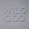 Nick Cave, The Bad Seeds – Wild God LP