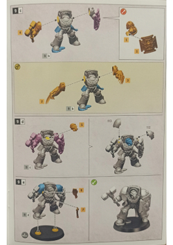 Terminator Assault Squad (New)