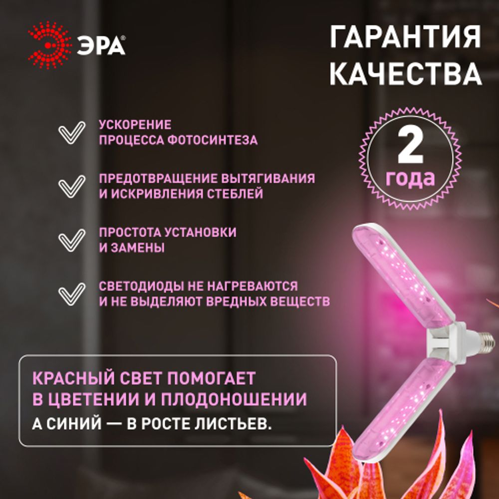 Фитолампа для растений светодиодная ЭРА GREEN LINE ФИТО-20W-PL-E27-GR 2-х лепестковая красно-синего спектра 20 Вт Е27 | Фитолампы Е27