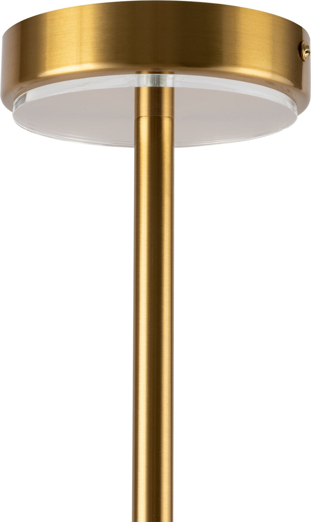 Потолочная люстра Maytoni MOD223PL-08BS