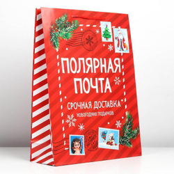 Пакет ламинированный вертикальный "Полярная почта", 31х40х11 см