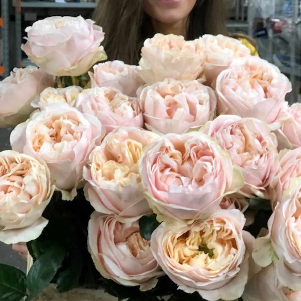 Унфоргетабле (Unforgettable)