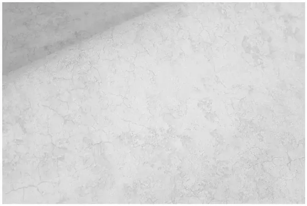 Обои винил на флиз.осн Флоренция фон 10-1017-11