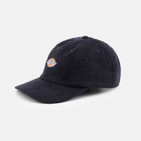  Кепка Dickies Hardwick Corduroy 6 Panel Logo Cap артикул:DK0A4ZAYBLK1 - купить в магазине Дайс