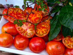 Черри Радуга (Rainbow Cherry) сорт томата