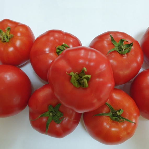 Хантер F1 семена томата детерминантного (Sakata / Саката) – фото 2