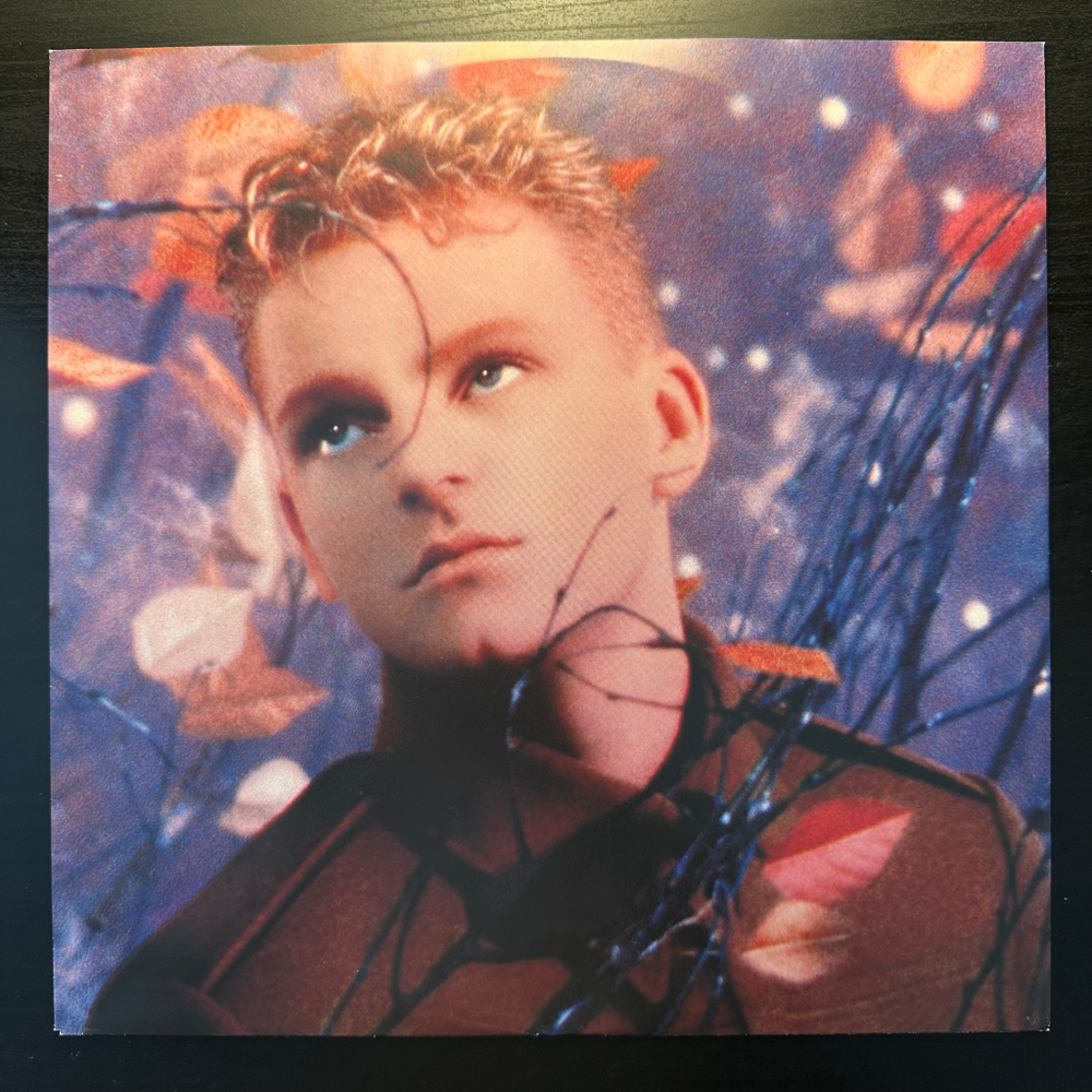 Erasure - Wild! (Скандинавия 1989г.)