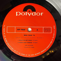 Винтажная виниловая пластинка LP Rory Gallagher Irish Tour 74 (Japan 1974) (No Obi)