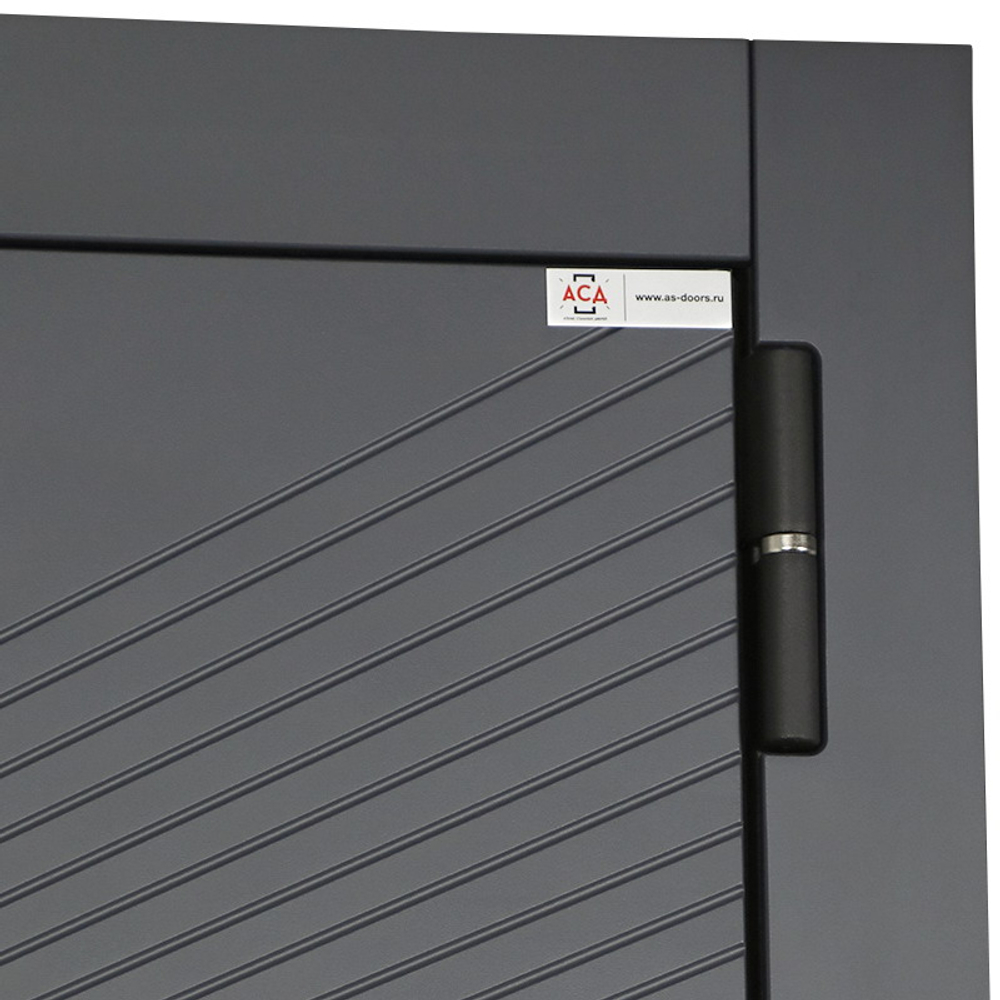 Стальная дверь "Бастион" с зеркалом. Заказная модель.