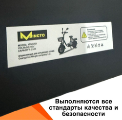 Аккумулятор для электровелосипеда лимузин/U2 60V 30Ah железофосфатный