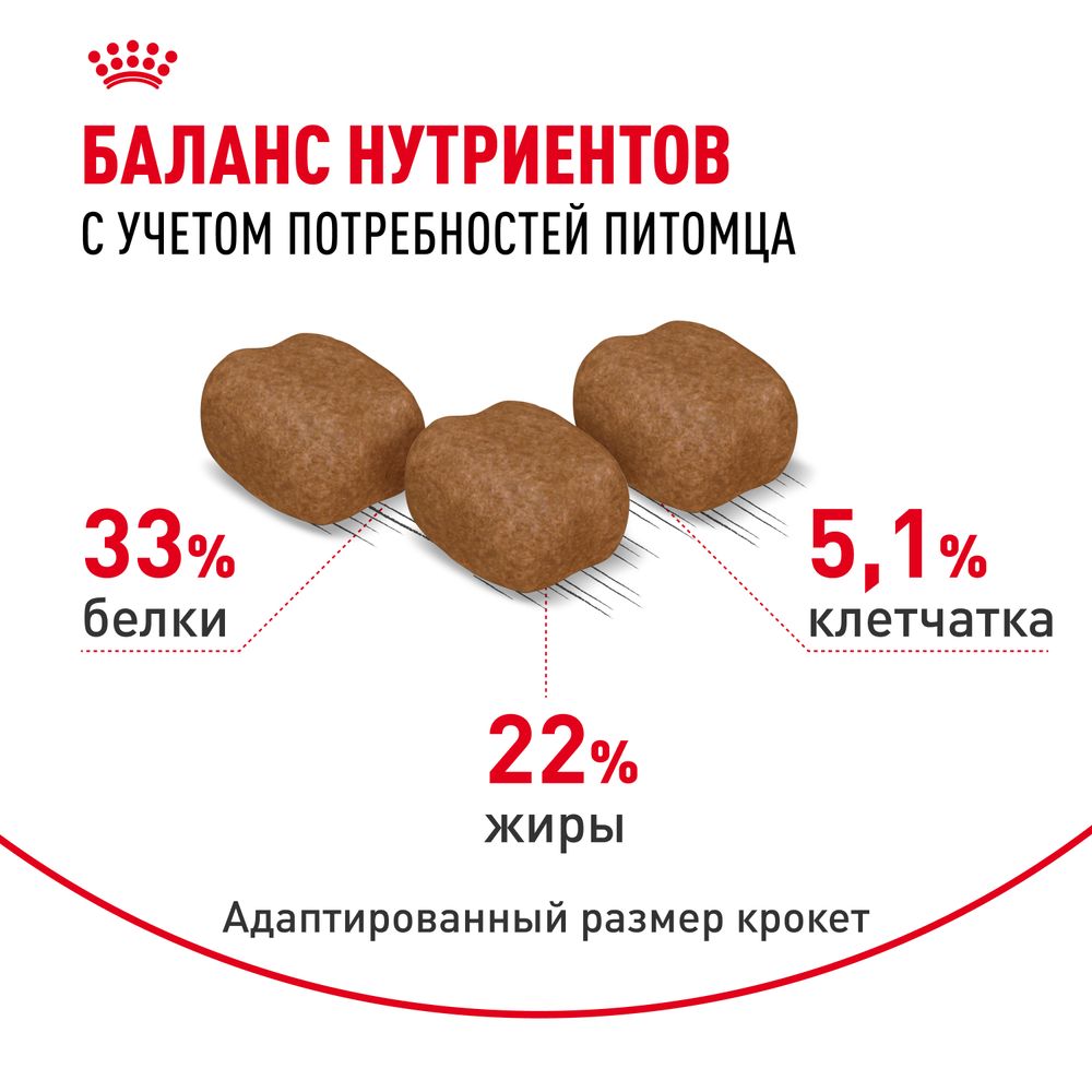 Сухой корм Royal Canin Hair&Skin Care для взрослых кошек для поддержания здоровья кожи и шерсти