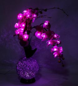 LP-12 Орхидея бол. с LED-подсветкой