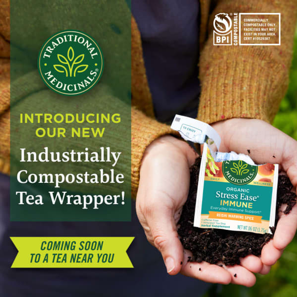 Traditional Medicinals, Organic Stress Ease® Immune, согревающая приправа с грибами рейши, без кофеина, 16 чайных пакетиков в упаковке, 28 г (0,99 унции)