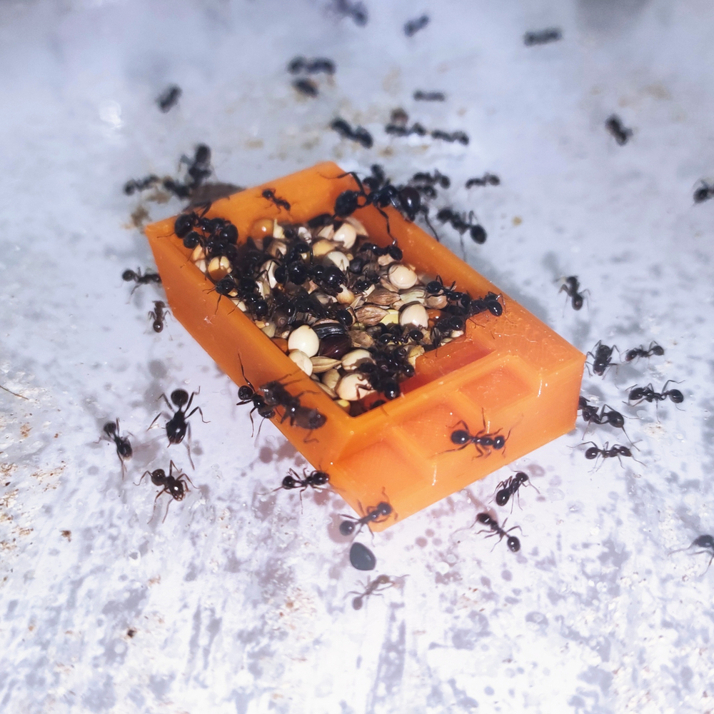 Кормушка для зерен