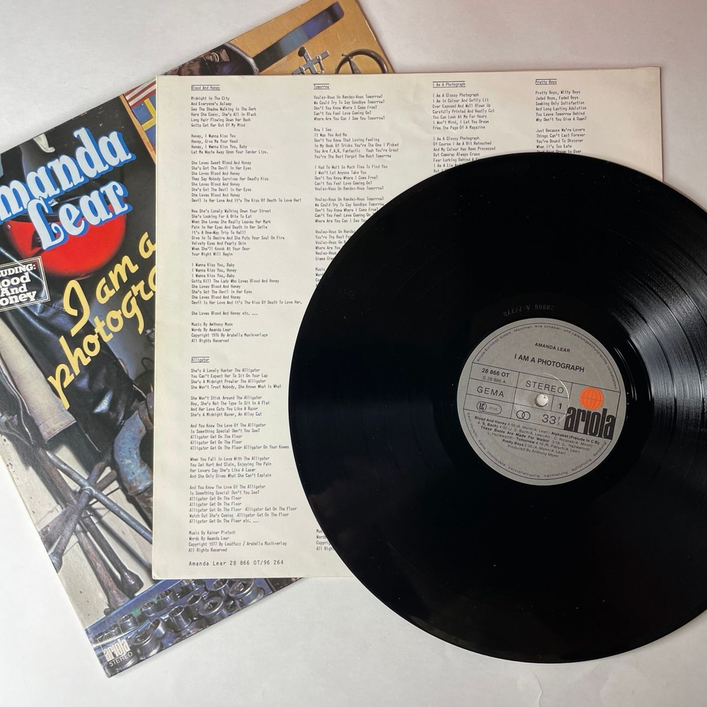 Винтажная виниловая пластинка LP Amanda Lear I Am A Photograph (Германия 1977)
