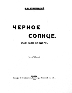 Черное солнце (Рассказы бродяги) | Вознесенский Александр Николаевич