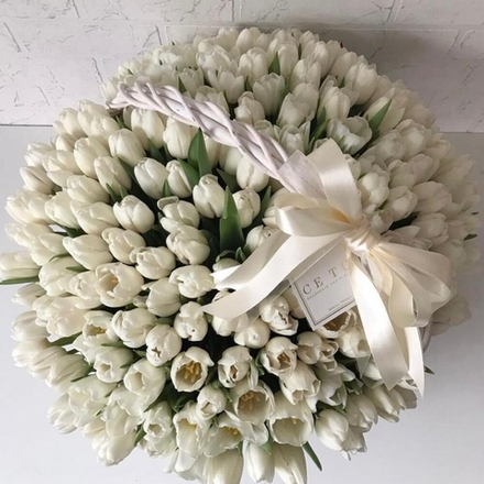 Акция! Корзина 201 белый тюльпан.