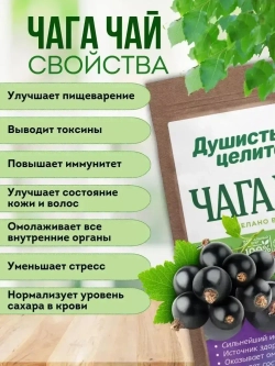 Травяной чага чай со смородиной 200 грамм