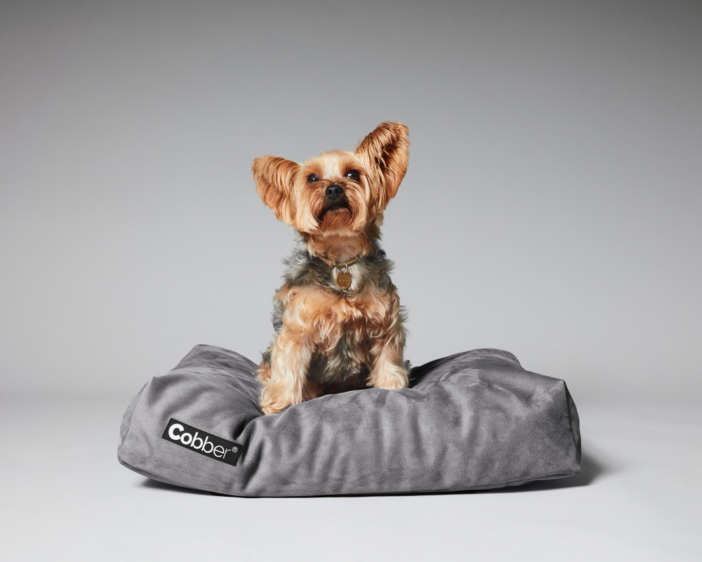 Лежанка для собак Lounge Stone COBBER