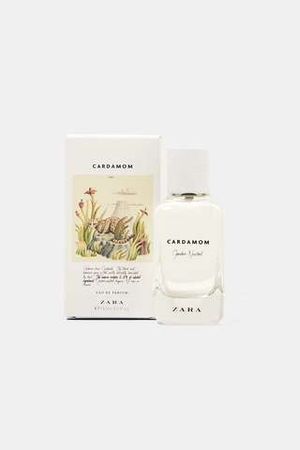 Zara Cardamom - Gender Neutral