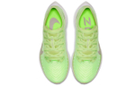 Кроссовки Nike Pegasus Turbo 2 (Женская размерная сетка)