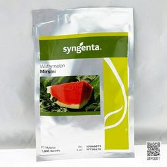 МИРСИНИ F1 семена арбуза (Syngenta | Alexagro)