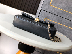 Chanel Bag 20 cm