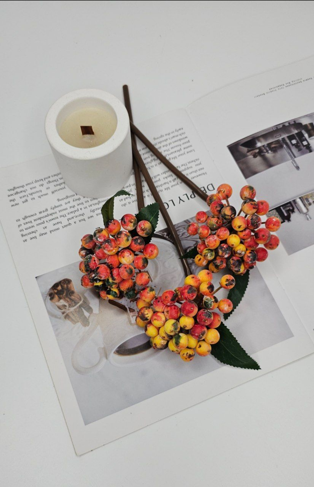 Ягоды / Арт 8047