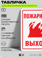 Табличка для обеспечения безопасности "Пожарный выход", для офиса, по охране труда для предприятия, организаций, 40х30 см, Silver Plane x Айдентика Технолоджи