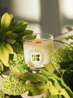 Свеча в стеклянном стакане 320 мл, «Лемонграссовый туман»