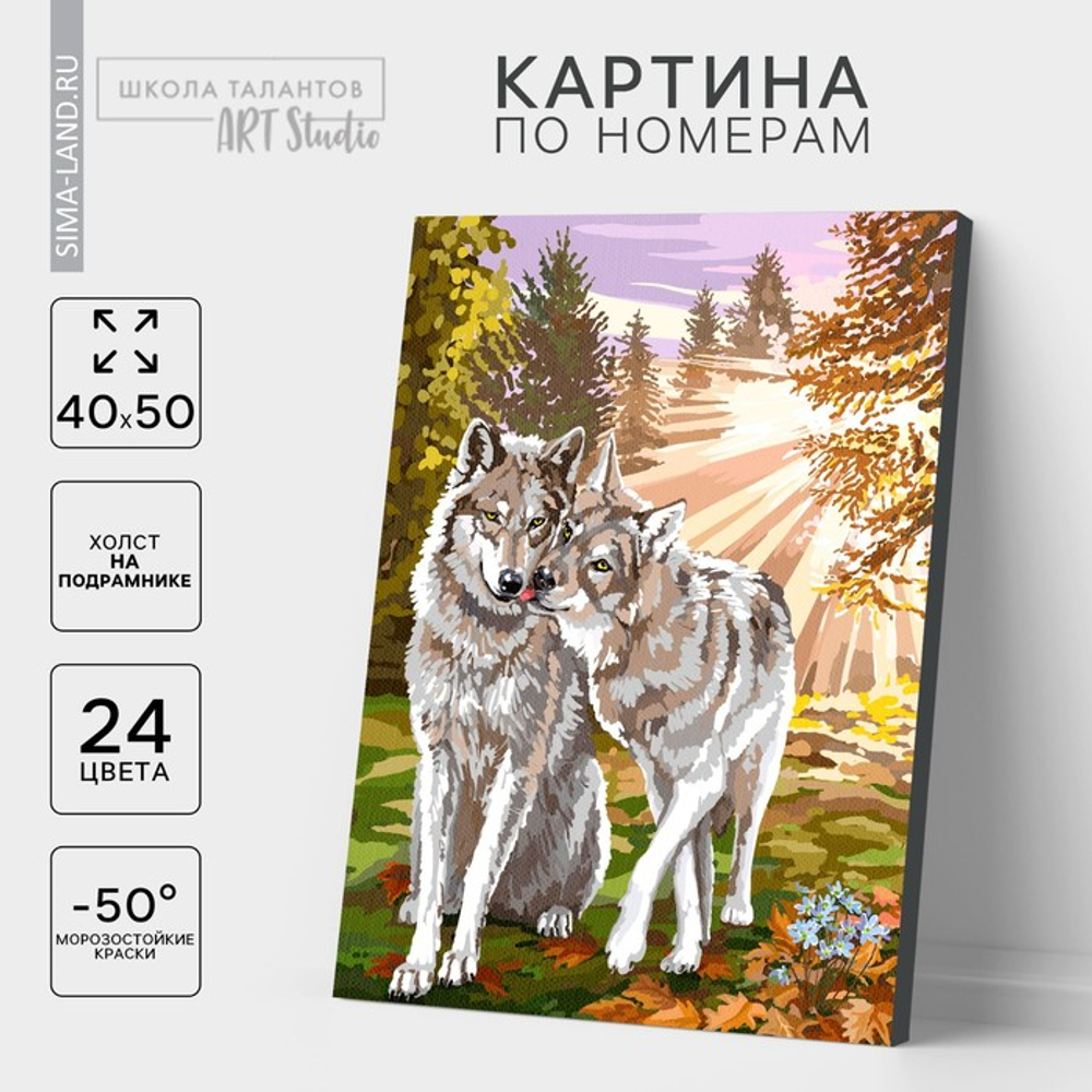 Картина по номерам на холсте с подрамником "Волки" 40*50 см 5005793