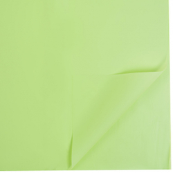 ЛИСТ 58*58/20шт СВЕТЛЫЙ №1