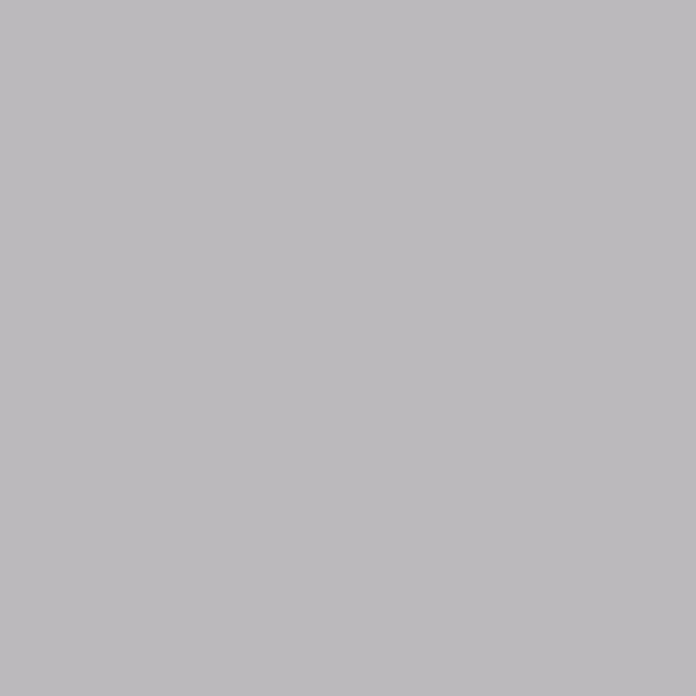 Фон бумажный Polaroid Light Grey Светло-серый 2,72*11 м