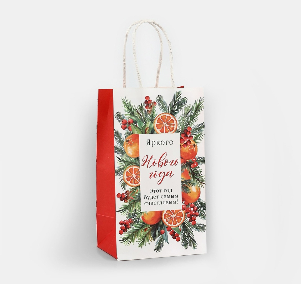 Пакет подарочный новогодний крафтовый «С Новым годом», 12×9×21 см