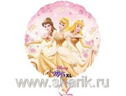 А КРУГ С РИС 18" Принцессы на балу