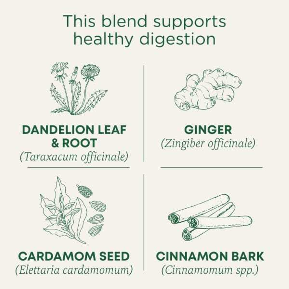 Traditional Medicinals, Organic Dandelion Chai Probiotic, пробиотический чайс одуванчиком, 16 чайных пакетиков, 33,6 г (1,19 унции)