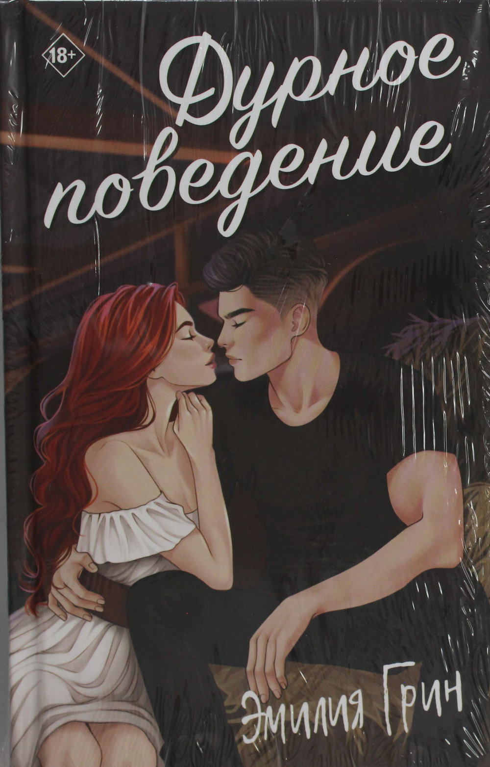 Дурное поведение