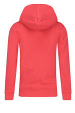 Худые Calvin Klein Jeans - розовый(IG0IG02139)