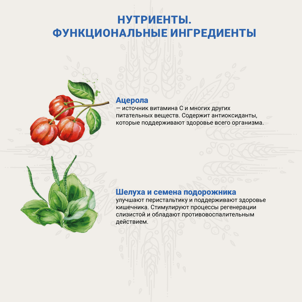 Craftia Galena Cat Renal Care Сухой диетический корм для кошек при почечной недостаточности, 1,4 кг