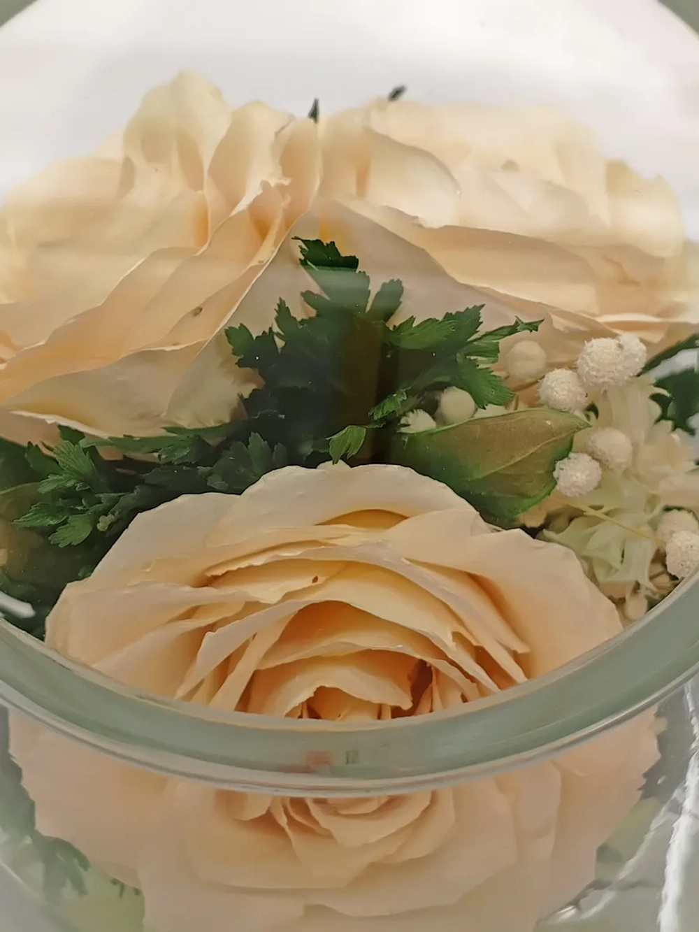 натуральные цветы в стекле, вакуум