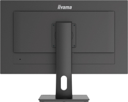 Монитор 28" Iiyama ProLite (XUB2893UHSU-B1)