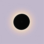 Уличный настенный светодиодный светильник Arte Lamp NIMBO A4506AL-1BK